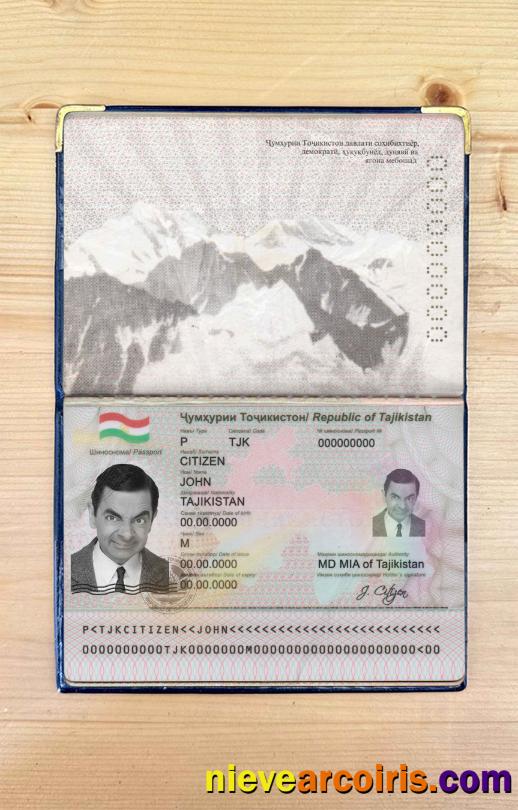 Tajikistan passport photolook